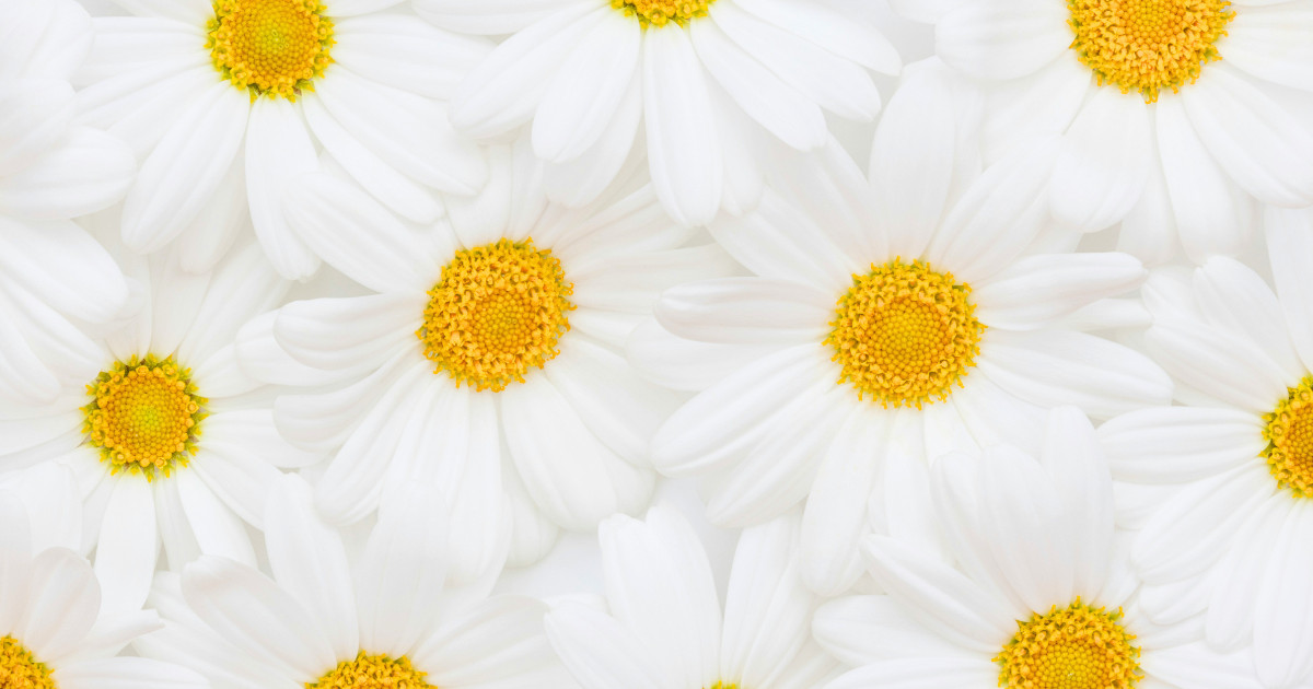 Πασχαλινό detox: Μικρά μυστικά για να μην επιβαρυνθείς