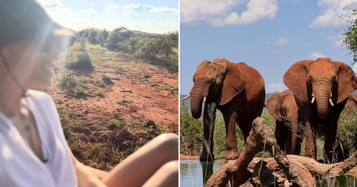 Μαριέττα Χρουσαλά: Σαφάρι στη Νότια Αφρική – Το ταξίδι ζωής με εικόνες που κόβουν την ανάσα