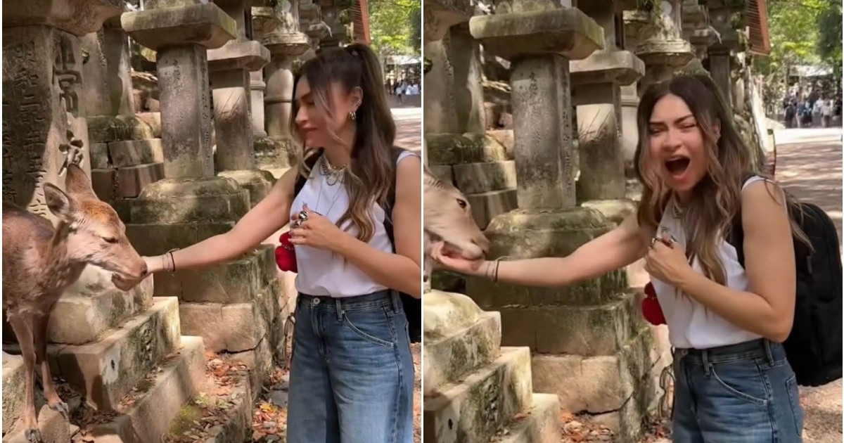 Αποστολία Ζώη: H ιδιαίτερη στιγμή που έζησε με ελάφι στην Ιαπωνία και το μήνυμα που συγκίνησε