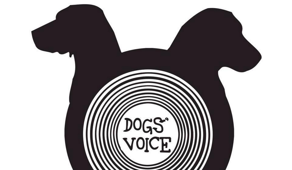 Η Barking Well Media αναλαμβάνει σε συνεργασία με την Dogs’ Voice την περίθαλψη και τη νοσηλεία όλων των πυρόπληκτων ζώων