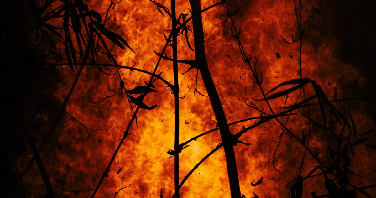 Επιβλαβή σωματίδια στην ατμόσφαιρα από τις φωτιές: Πώς να προστατευτούμε