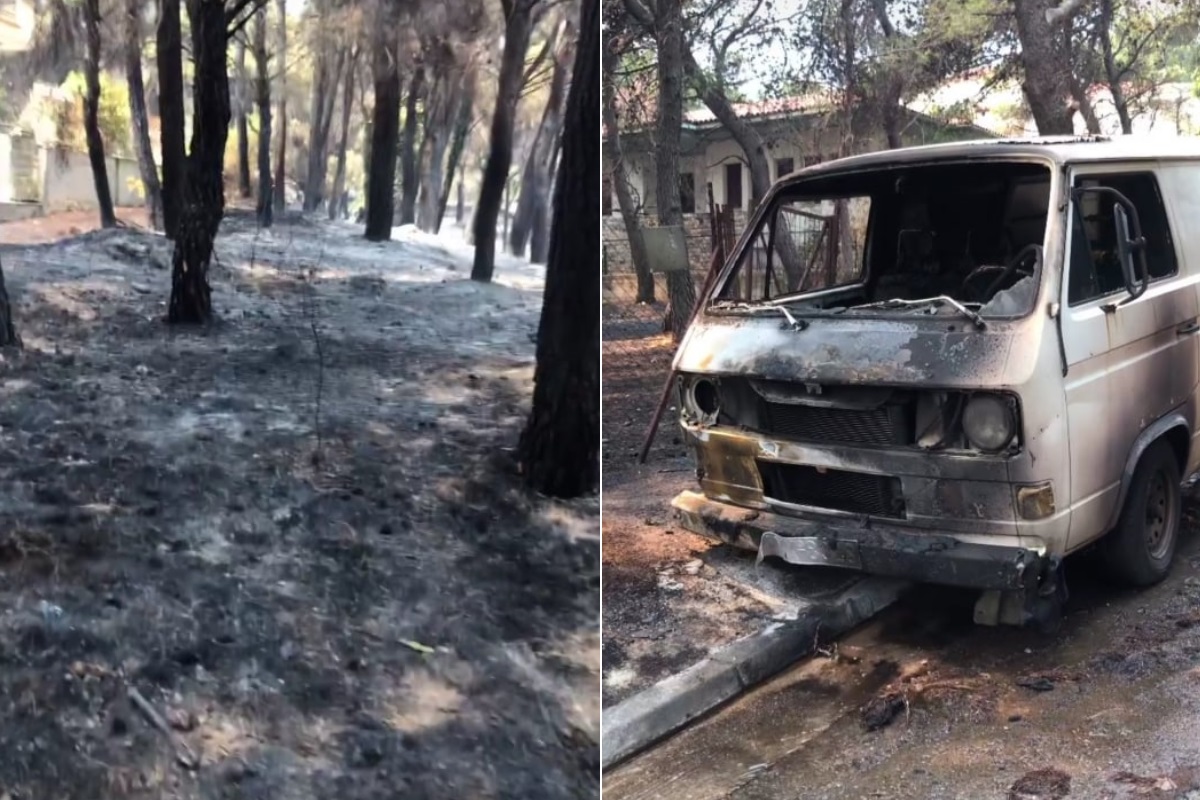 Σοκαριστικές εικόνες από το πέρασμα της πύρινης λαίλαπας στους Θρακομακεδόνες – Κάηκαν πρόβατα στο μοναστήρι της περιοχής