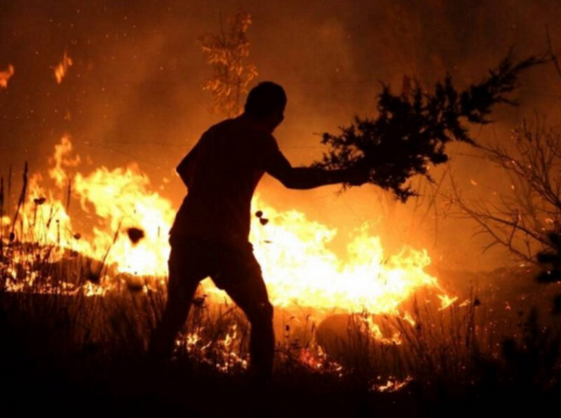 Εθελοντές συγκλονίζουν με τα λόγια τους: «Προτιμώ να μην έχω να φάω, παρά να αφήσω έτσι την κατάσταση»