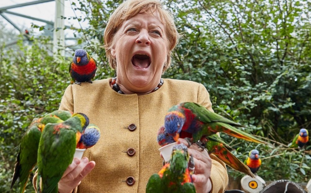 Η Άνγκελα Μέρκελ όπως δεν την έχετε ξαναδεί – Η επίσκεψη σε πάρκο πτηνών και το απρόοπτο με τον παπαγάλο