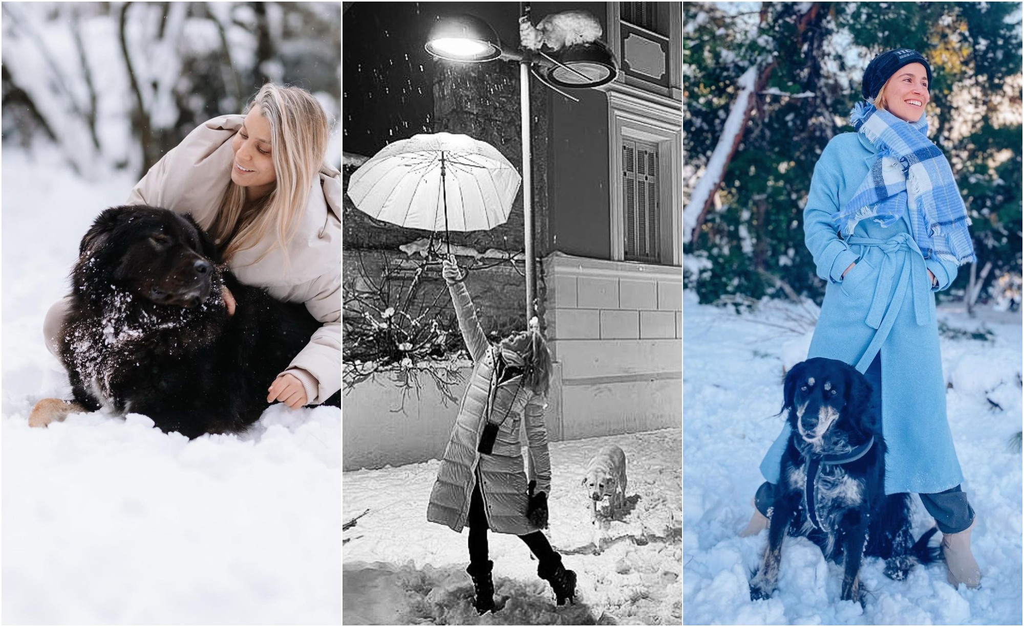 5+1 celebrities κάνουν βόλτα με τους τετράποδους φίλους τους στα χιόνια