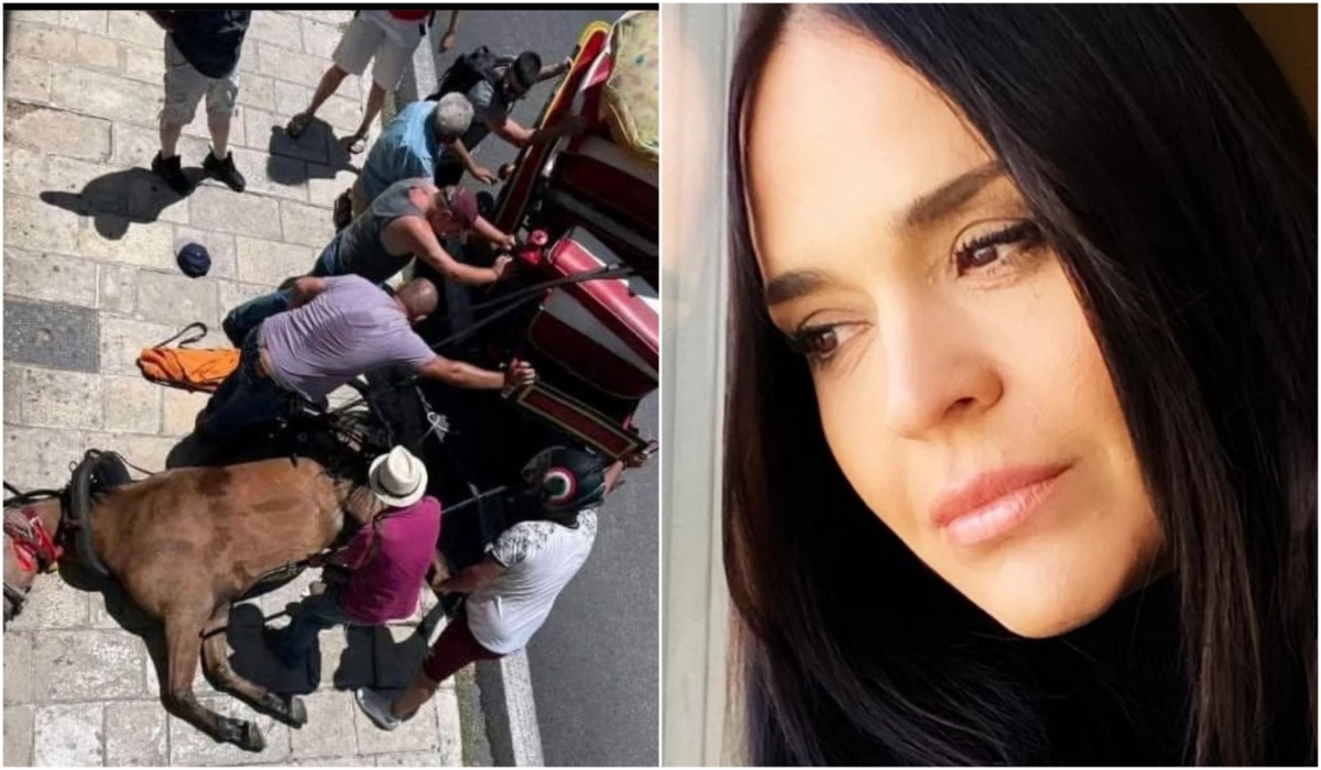Σάλος με το νεκρό άλογο στην Κέρκυρα: Η Νικολέττα Καρρά ξεσπάει στο Instagram – «Τέρατα»