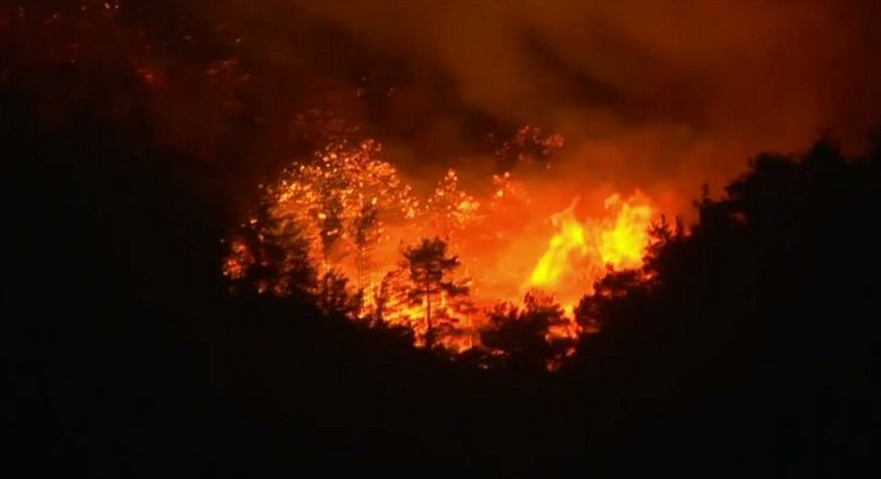 Εντοπίστηκαν 18 απανθρακωμένοι μετανάστες στο Δάσος της Δαδιάς