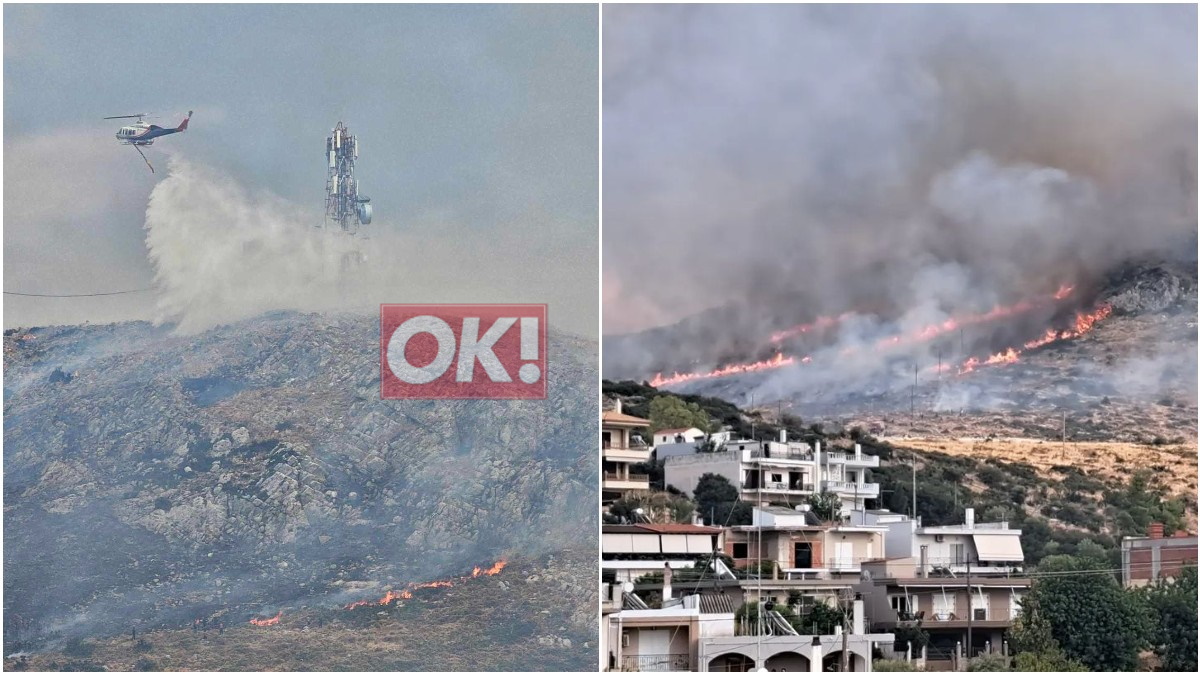 Εύβοια: Φωτιά στον Δοκό Χαλκίδας