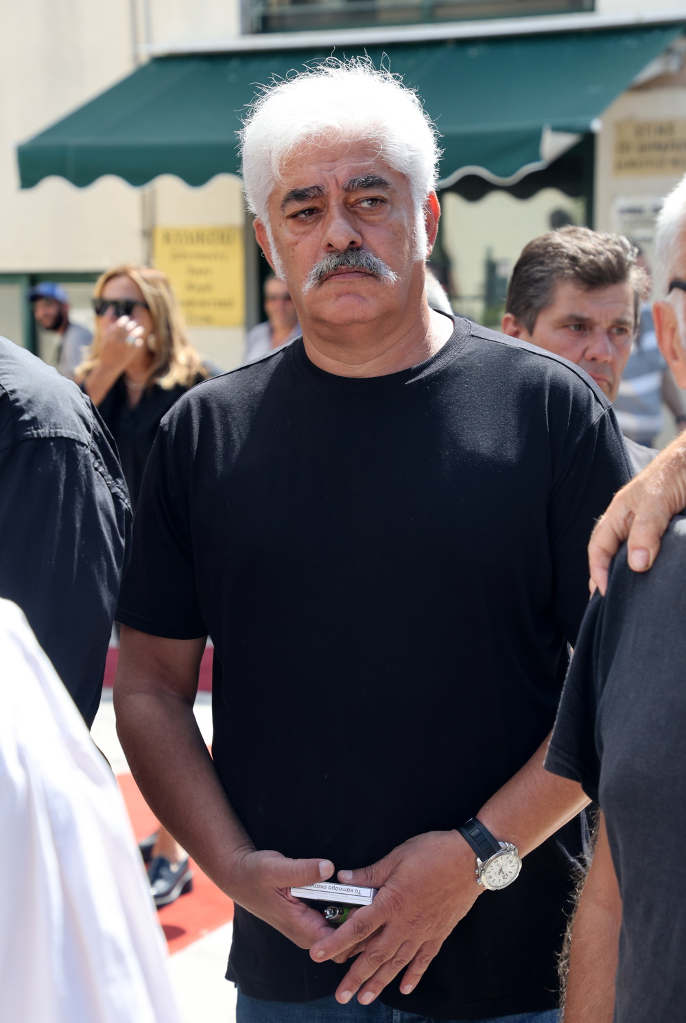 Ο πρόεδρος του ΣΕΗ, Νίκος Καραγιώργης.
