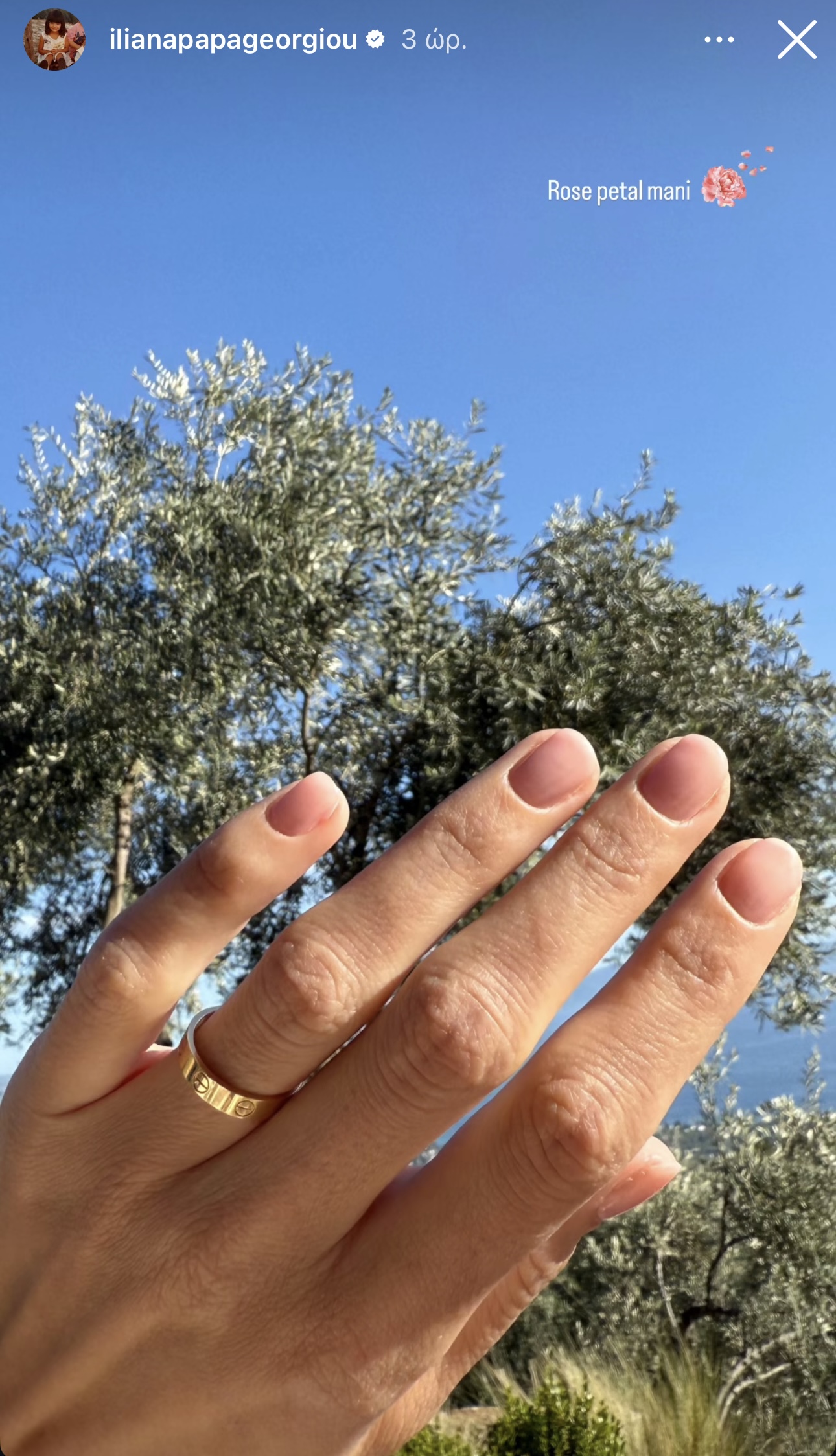 Η Ηλιάνα Παπαγεωργίου με rose petal manicure