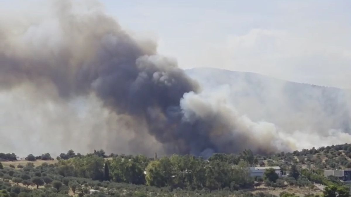 Δείτε βίντεο από τη μεγάλη φωτιά κοντά στην Αττική Οδό