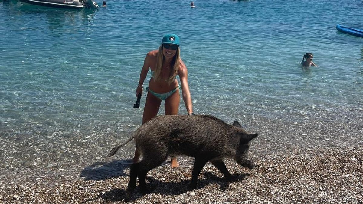Μαριέττα Χρουσαλά: Μοναδικές καλοκαιρινές στιγμές στο Άτοκο – Κολύμπησε με γουρουνάκια μαζί με την οικογένειά της