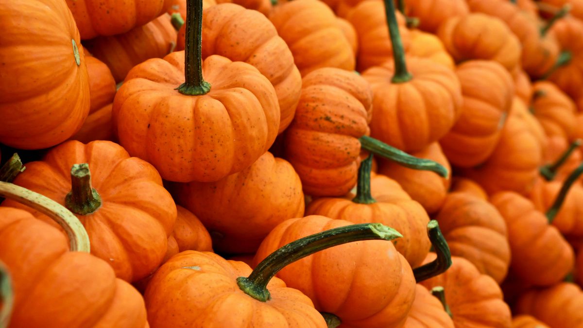 Κολοκύθα: Το «τρομακτικά» θρεπτικό σύμβολο του Halloween