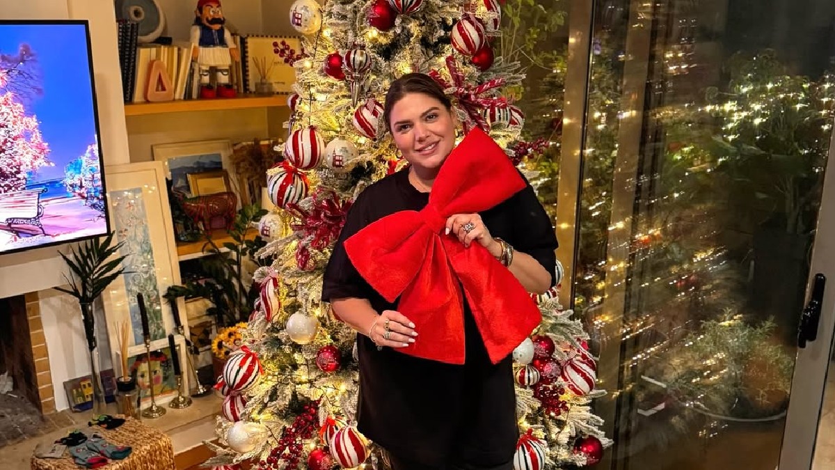 Δανάη Μπάρκα: Στόλισε το χριστουγεννιάτικο δέντρο στο σπίτι της