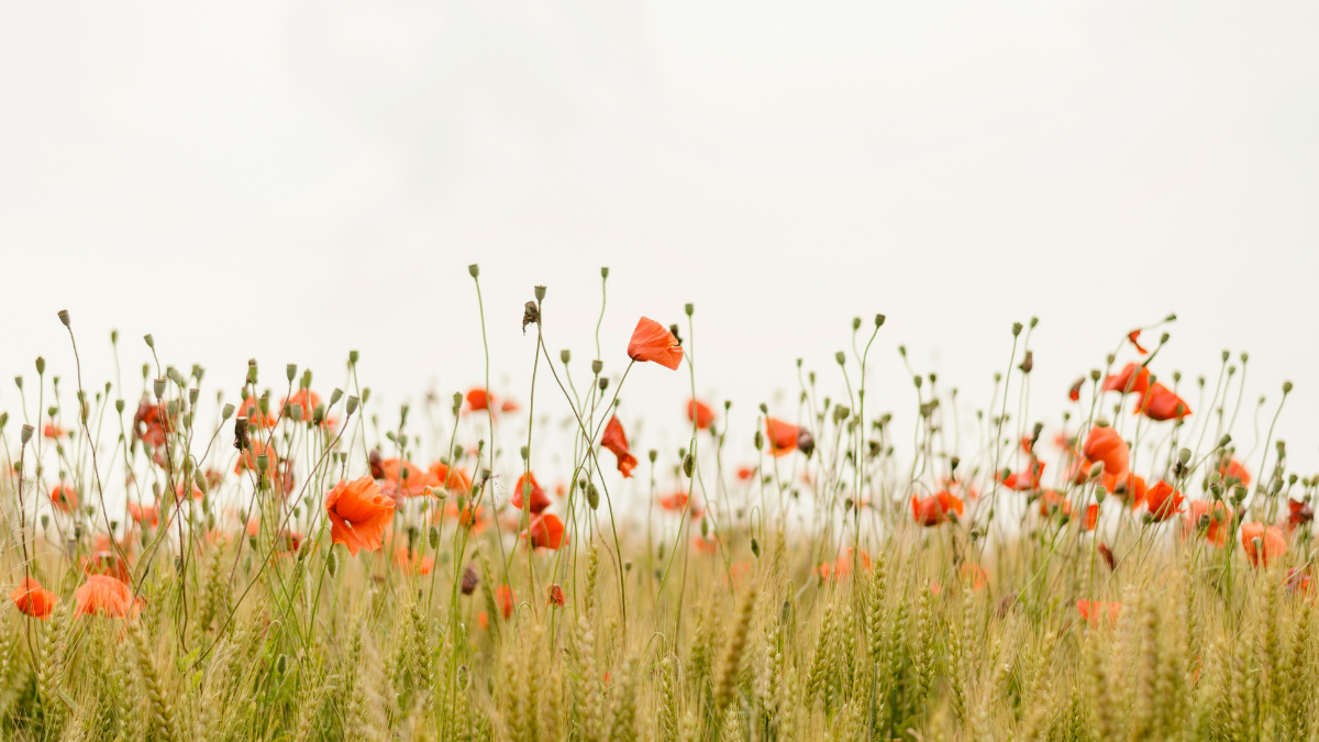 Ανοιξιάτικη επανεκκίνηση: 2 απλές συνήθειες που μπορούν να αλλάξουν τη διάθεσή σας