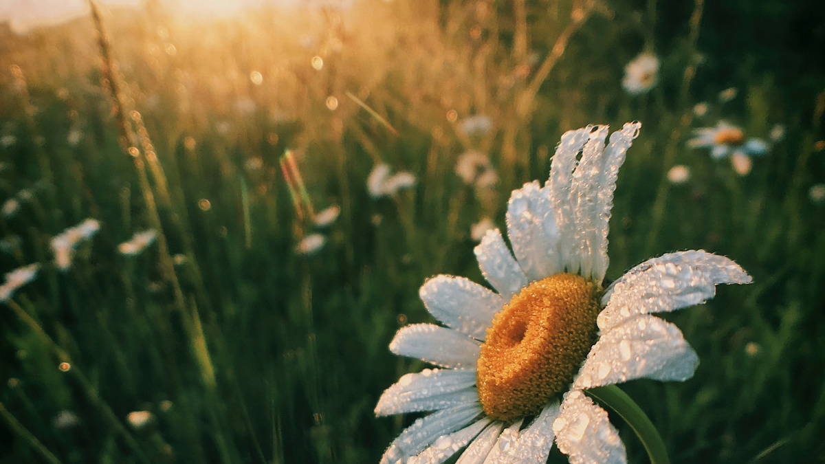 Ζώδια Τετάρτη 18 Μαρτίου: Ποιοι ευνοούνται σήμερα;