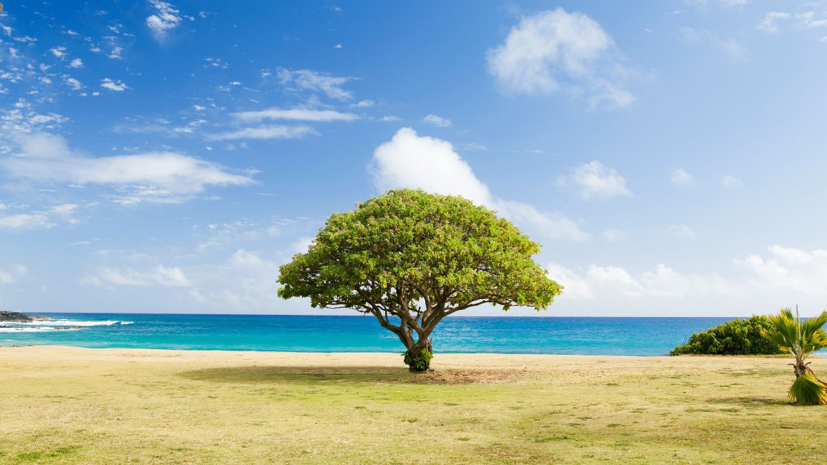 Αυτό είναι το μέρος που καλωσορίζει πρώτο το νέο έτος