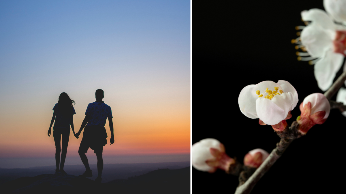 Τυχερές μέρες του Απριλίου για κάθε ζώδιο