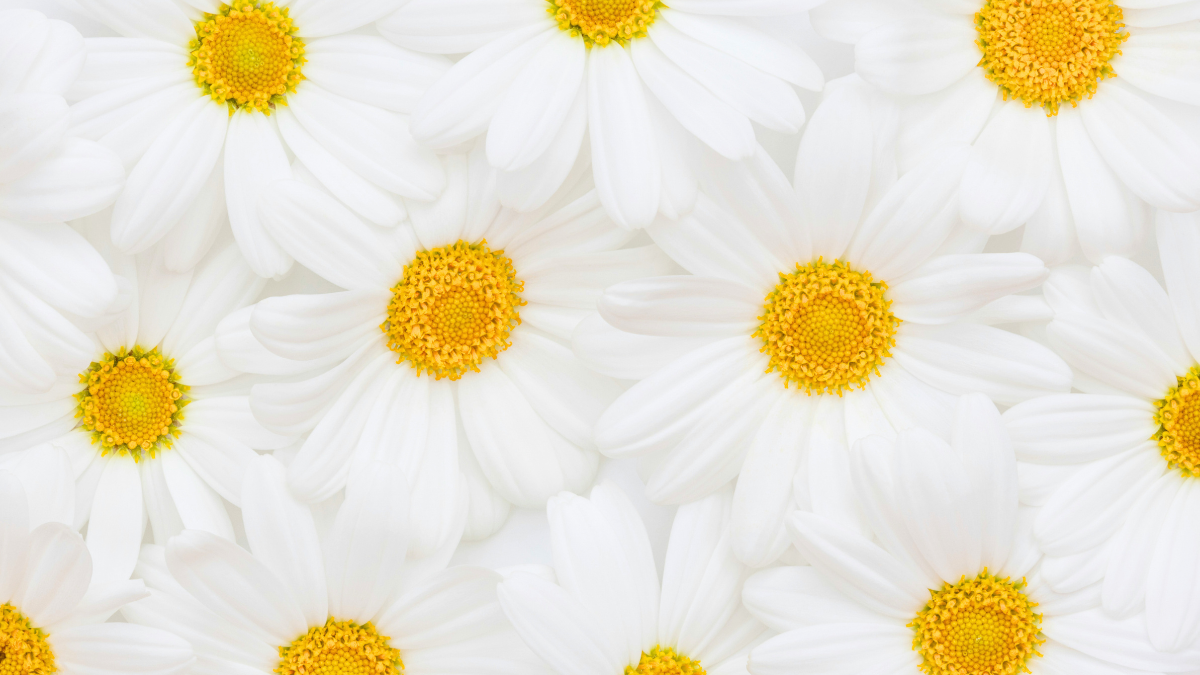 Πασχαλινό detox: Μικρά μυστικά για να μην επιβαρυνθείς