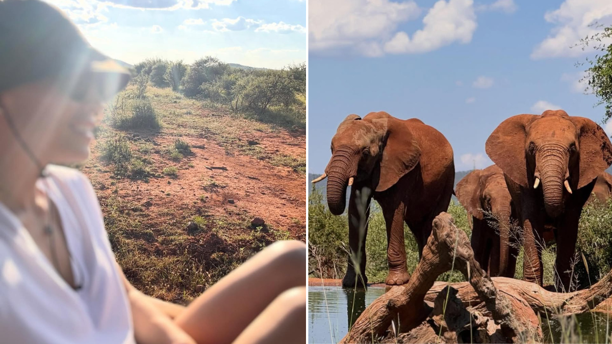 Μαριέττα Χρουσαλά: Σαφάρι στη Νότια Αφρική – Το ταξίδι ζωής με εικόνες που κόβουν την ανάσα
