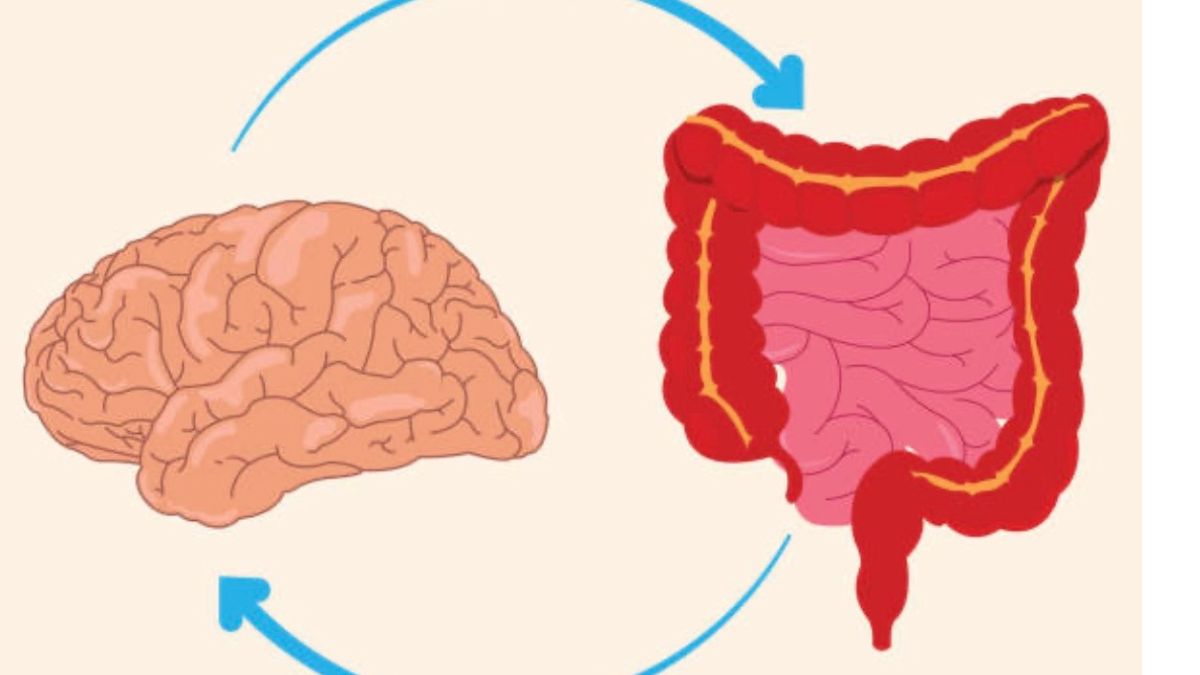 Η σύνδεση εντέρου – εγκεφάλου: γιατί επηρεάζεται η διάθεσή μας