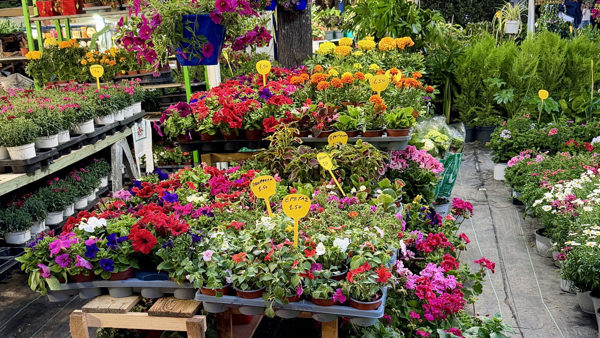 Πώς τα άνθη,τα χρώματα,τα αρώματα και η επαφή με τη φύση μπορούν να επηρεάσουν την ψυχική μας ισορροπία