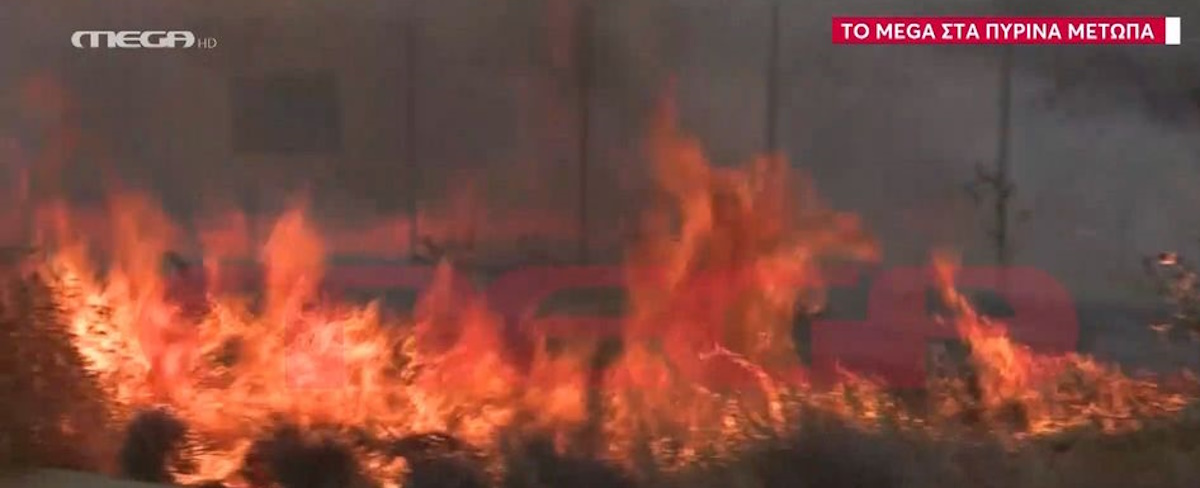 Κραυγή αγωνίας για τις πυρκαγιές στη Βοιωτία: «Θέλουν να μας κάψουν ζωντανούς, έχουμε γεμίσει ανεμογεννήτριες»