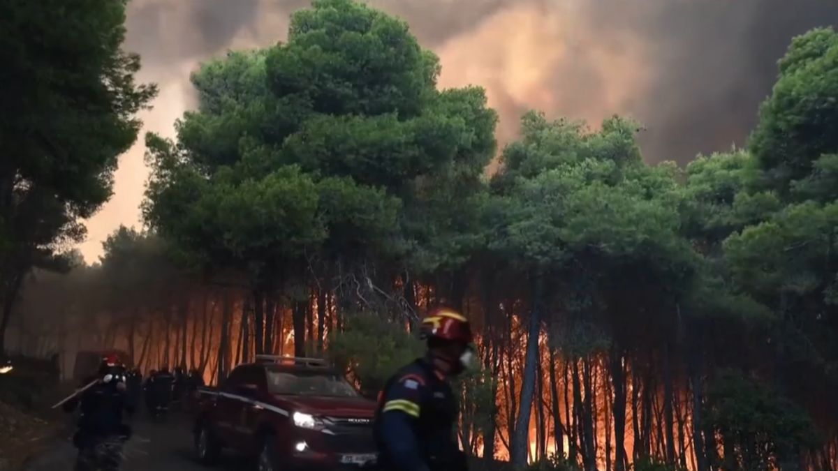 Πόρτο Γερμενό: Μάχη με τις φλόγες και τους θυελλώδεις ανέμους – Η φωτιά «σκαρφάλωσε» στον Κιθαιρώνα